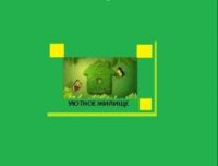 Уютное Жилище